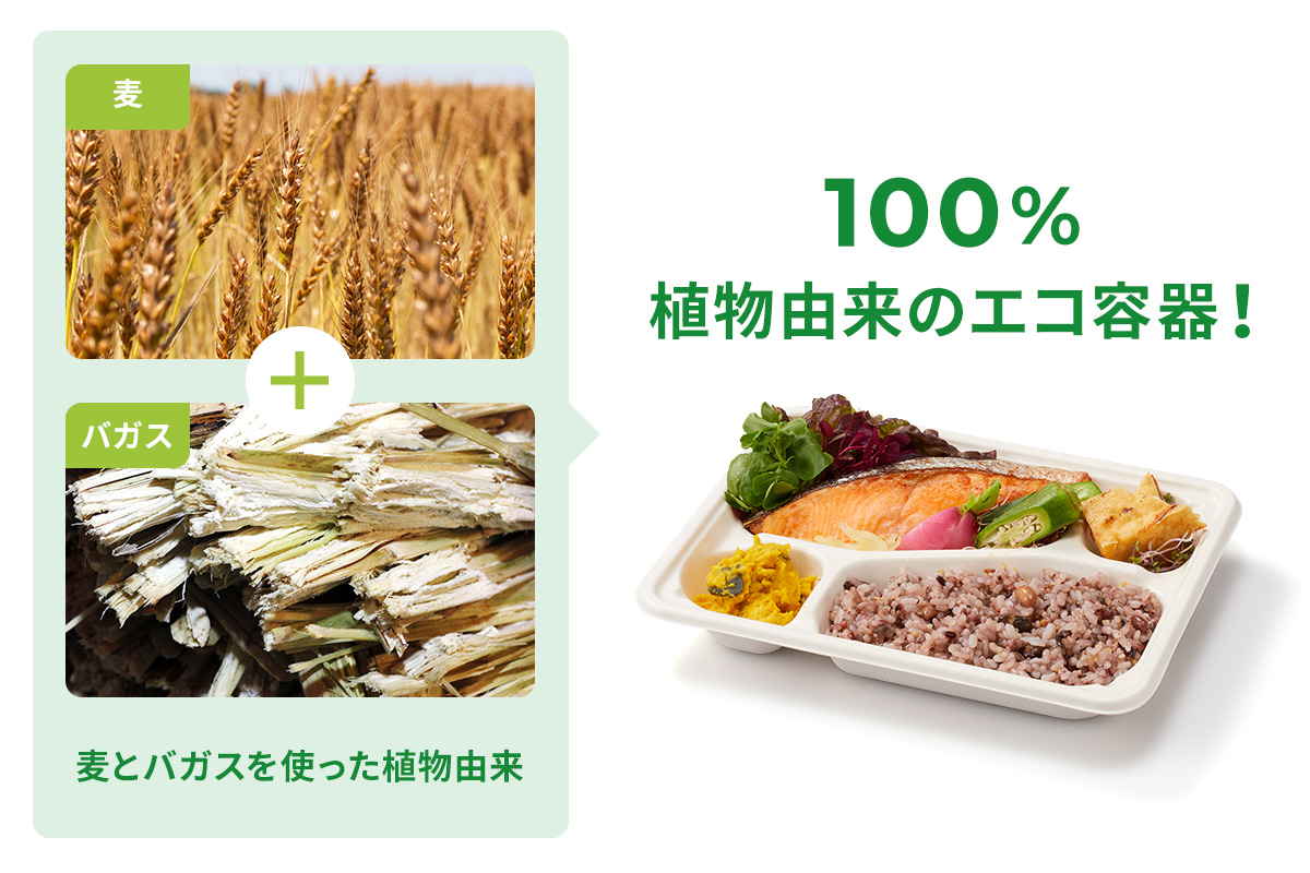 麦とバガスを使った環境に優しい植物由来のエコ容器