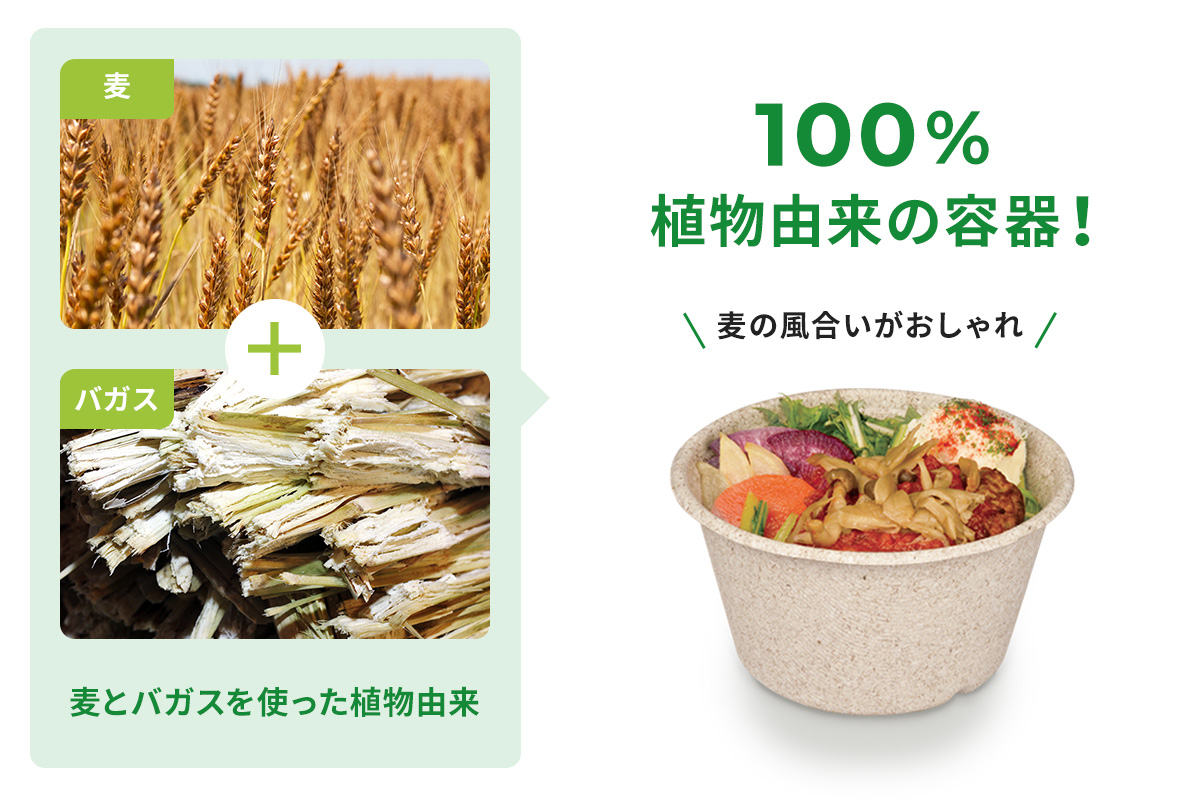 麦とバガスを使った環境に優しい植物由来のエコ容器