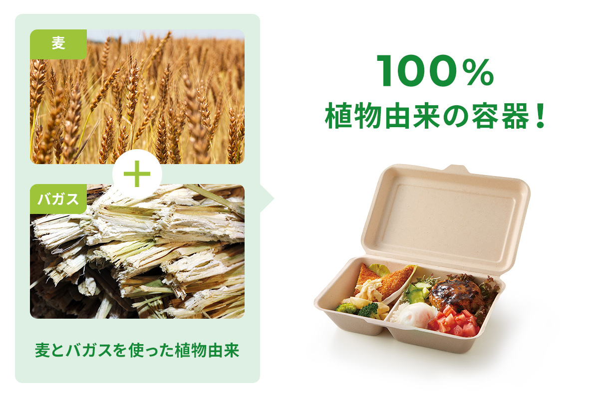 麦とバガスを使った環境に優しい植物由来のエコ容器