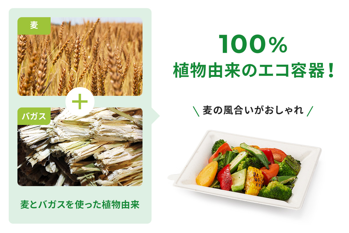 麦とバガスを使った環境に優しい植物由来のエコ容器