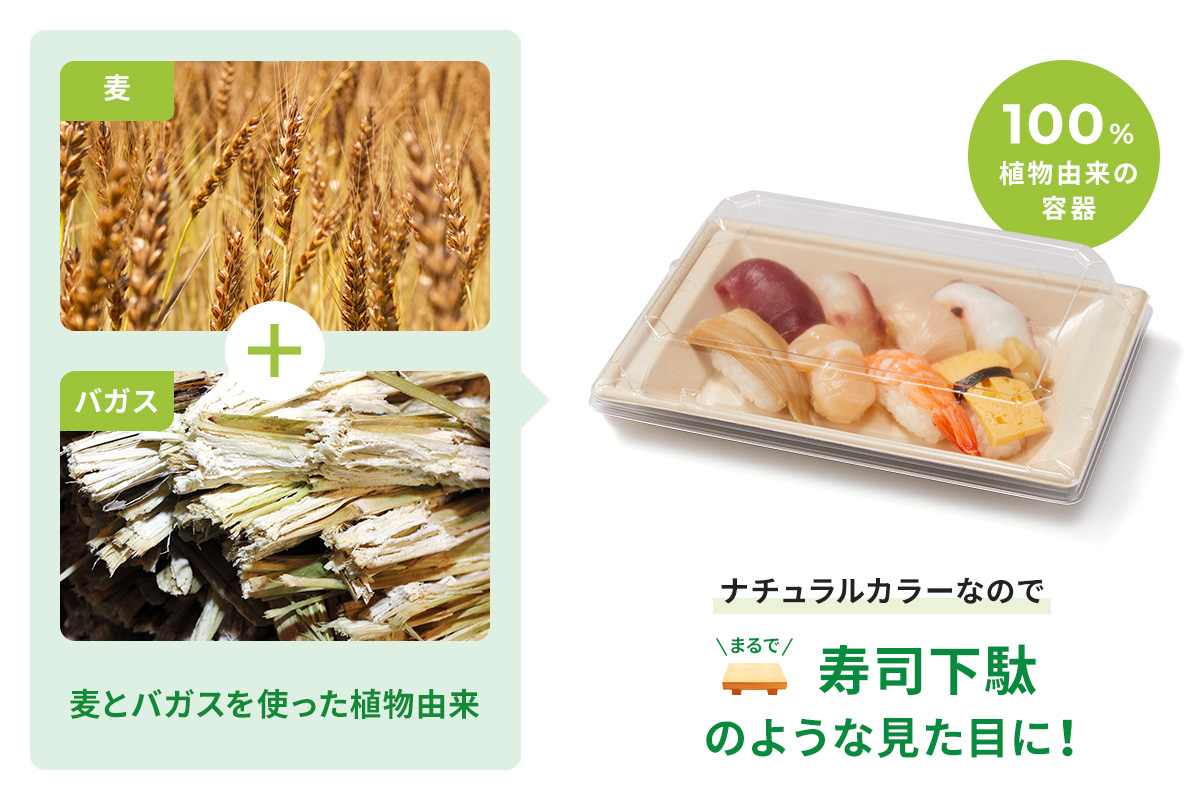 麦とバガスを使った環境に優しい植物由来のエコ容器
