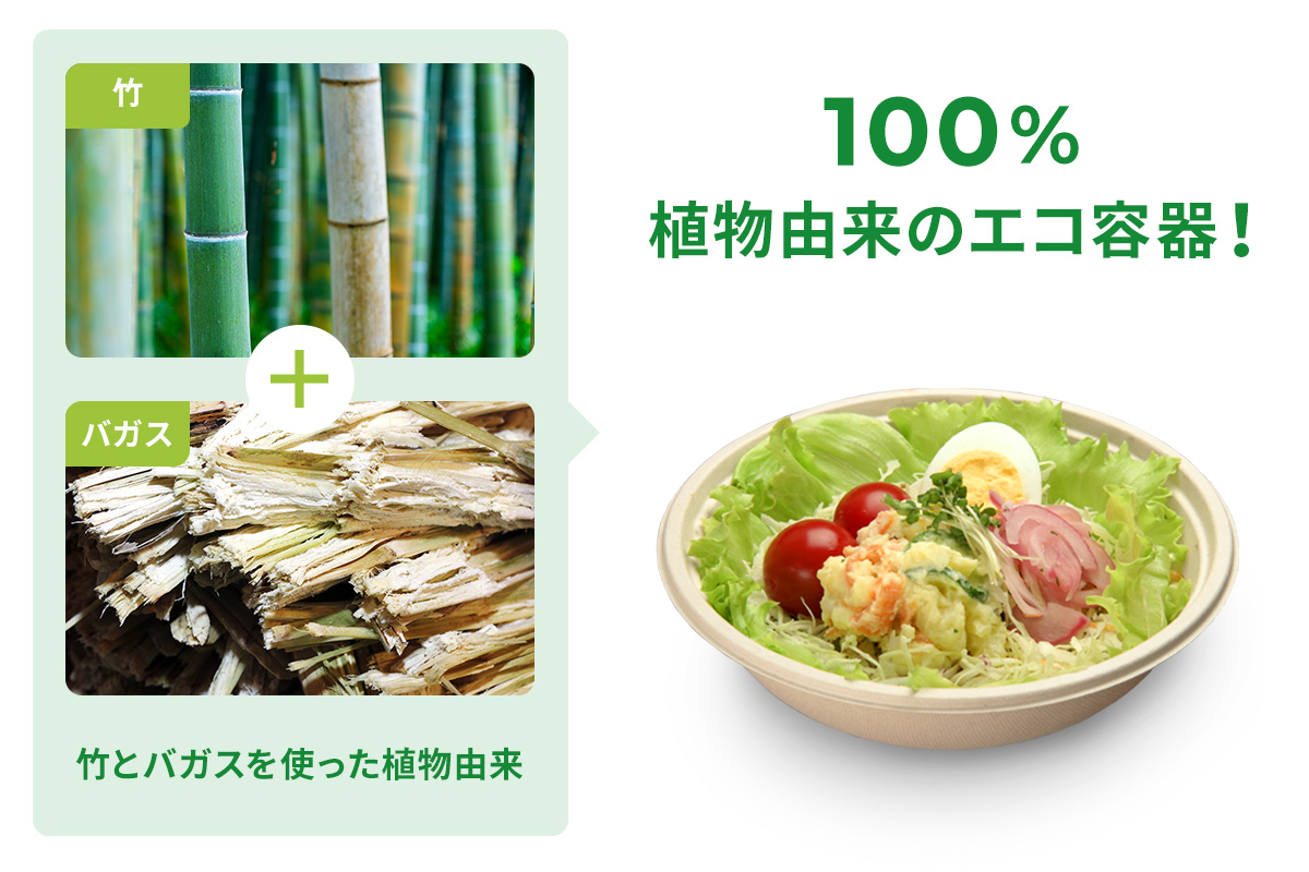 竹とバガスを使った環境に優しい植物由来のエコ容器