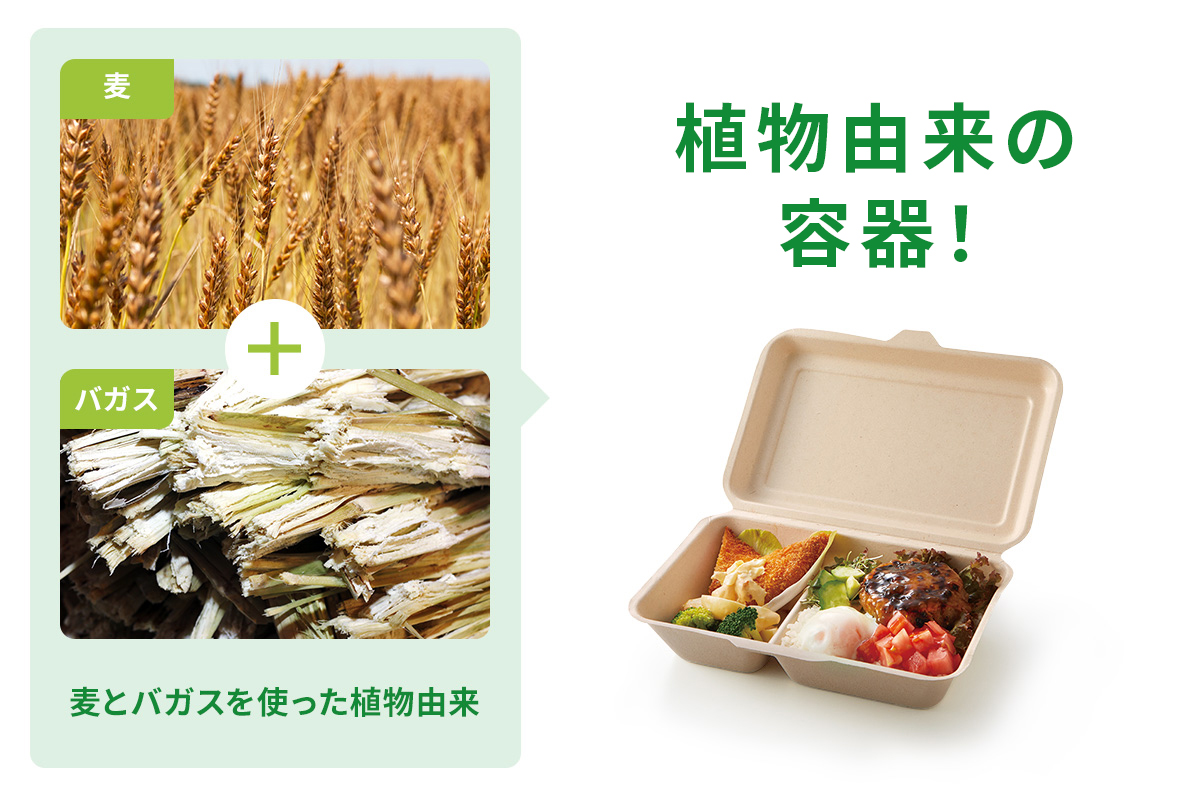 パックスタイル WB弁当 23-17C ラミ ( 653877 )(300枚セット)(株)折兼 (メーカー取寄) ＷＢ弁当 ２７－２１Ａ ラミ(ランチボックス) | パックスタイル エコ