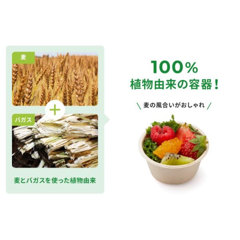 ＷＢカップ６２－４０